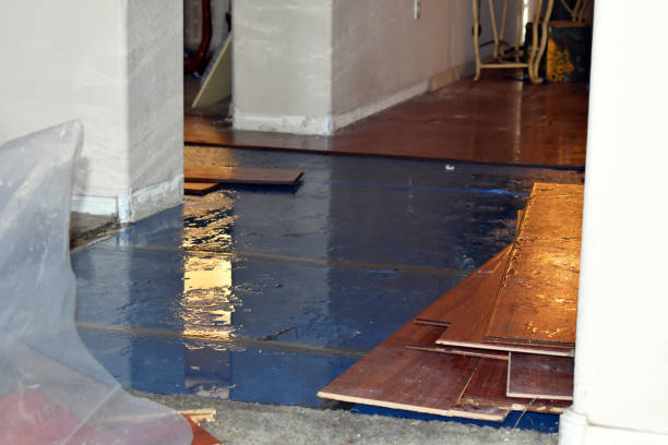 Professional Burst Pipe Cleanup technician working in Lignum, VA